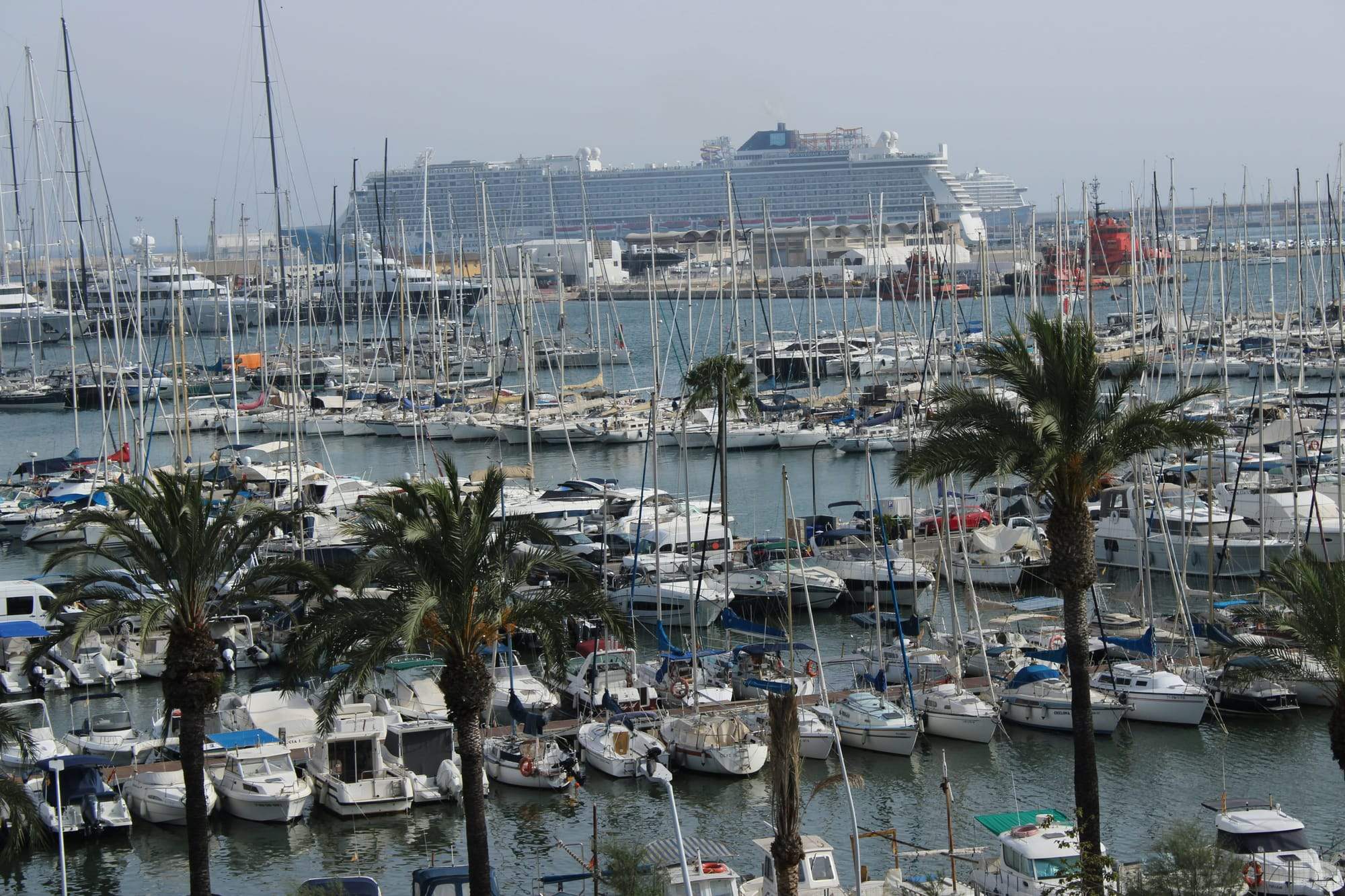 Palma marina — wintering in Mallorca
